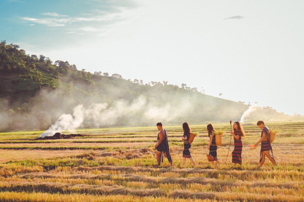 img of How Your Vibe Attracts Your Tribe