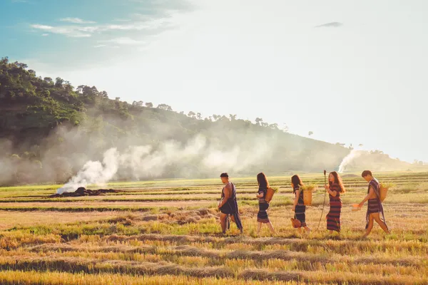 img of How Your Vibe Attracts Your Tribe