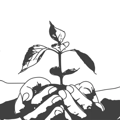 Personal Growth